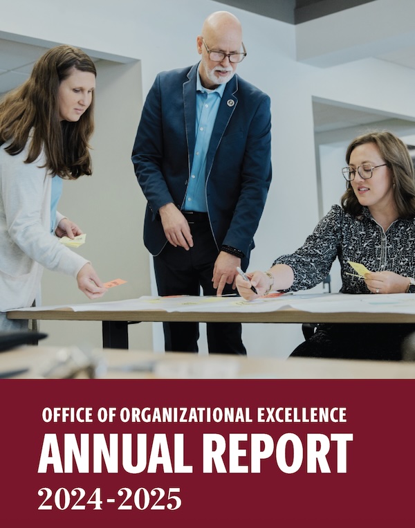 Organizational Excellence Annual Report 2024-25