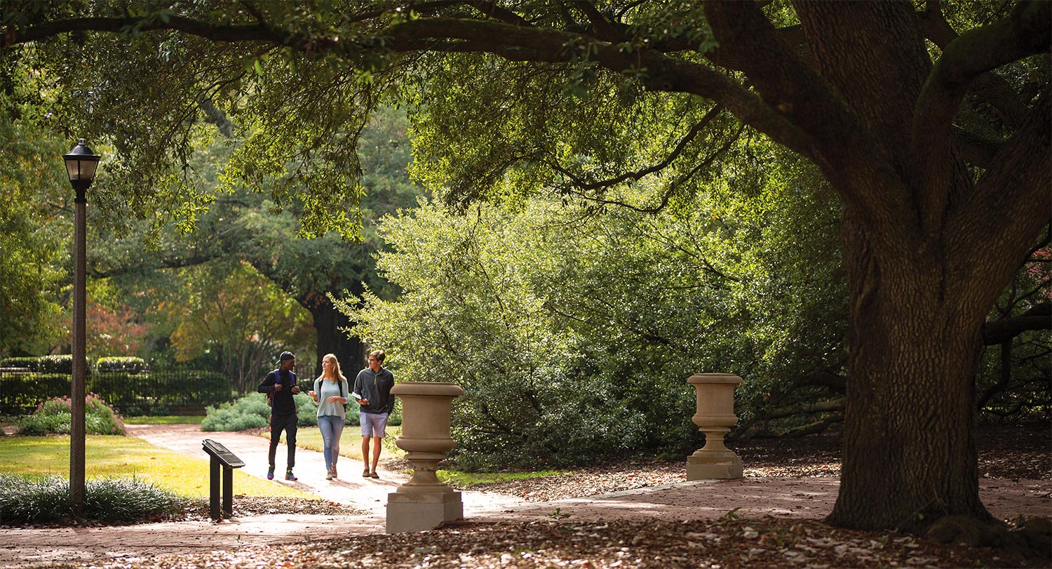 Three students walking on the Horseshoe surrounded by beautiful oak trees.